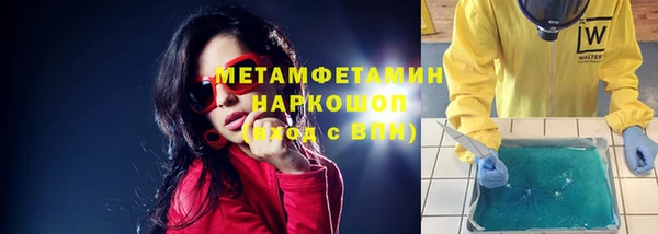 сатива Аркадак