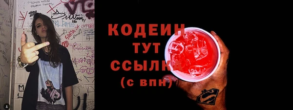 молекула духа Арсеньев