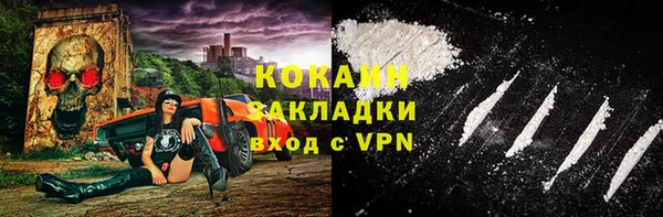молекула духа Арсеньев